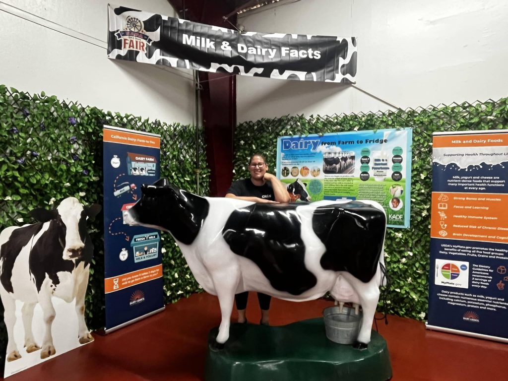 Cierra Warner takes a break during set-up at the Fair Farm cow milking and dairy education corner. Napa Town & Country Fair photo