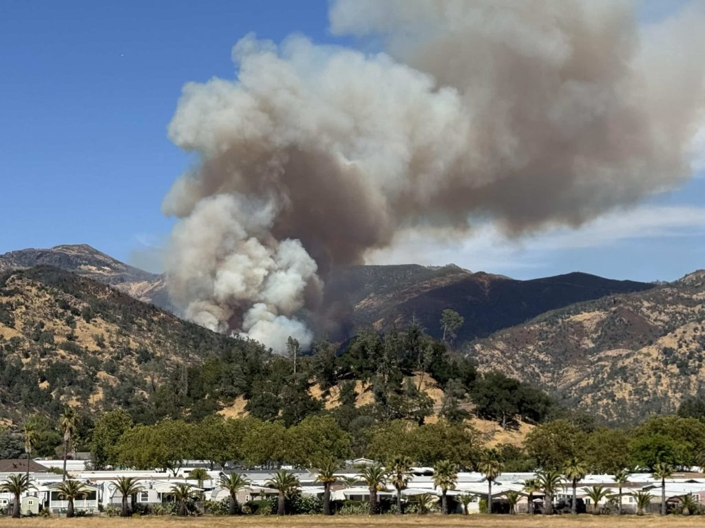 Pickett Fire near Calistoga on Aug. 21. Christy Webb photo