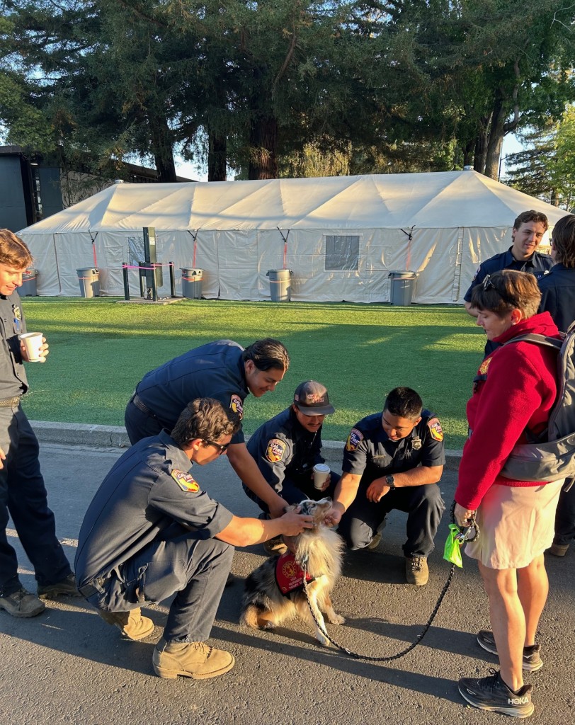 Brenda Nelson, a volunteer with First Responder Therapy Dogs, and Blitz, a 10-year-old mini Australian shepherd, greeted firefighters Friday at the Pickett Fire Base Camp at Napa Valley Expo. Kerana Todorov photo