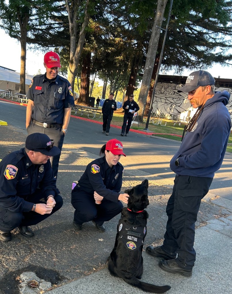 Taffy, a facilities dog member of the Salinas Fire Department, shown with her handler, Salinas firefighter Kyle Pletzke, was among the dogs on duty during the Pickett Fire as part of Cal Fire's behavioral health and wellness program. Kerana Todorov photo