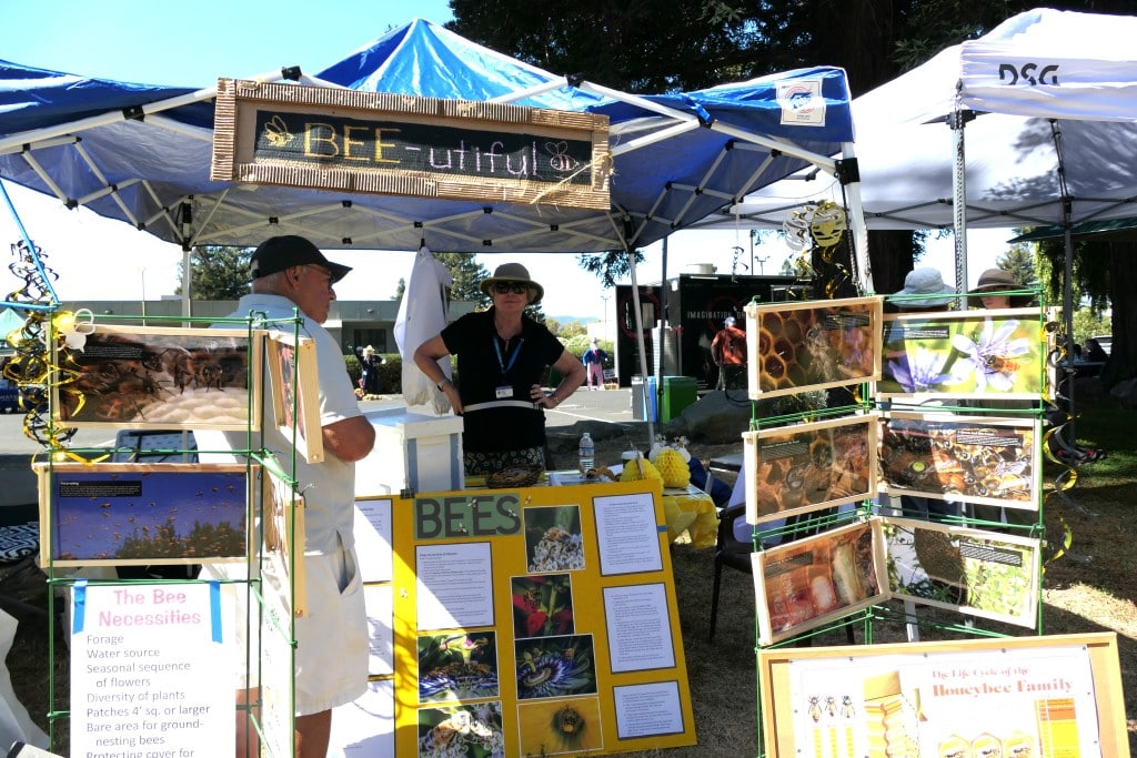 An educational display about bees at a past Fall Faire. Napa County Master Gardeners photo