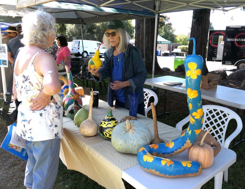 Gourds, hard-shelled and non-edible fruits, at a past Fall Faire. Napa County Master Gardeners photo