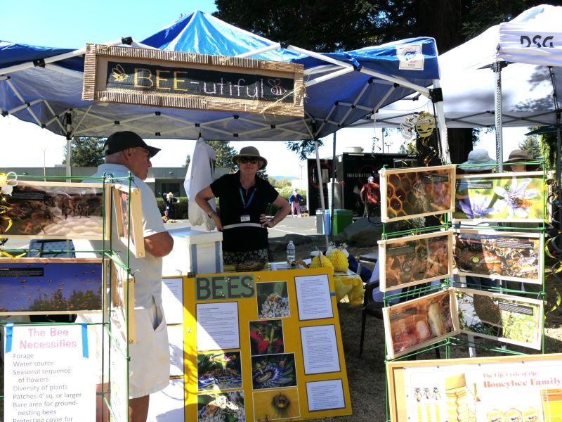 An educational display about bees at a past Fall Faire. Napa County Master Gardeners photo