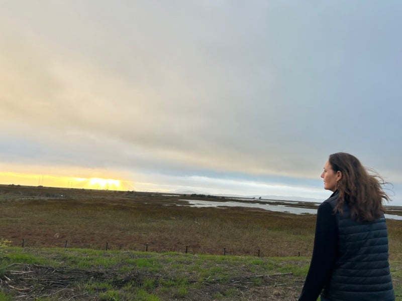 Janelle Sellick on Sunday guided a group to the wetlands behind American Canyon's former corporation yard, home of the future Napa River Ecology Center. Groundbreaking is anticipated next spring. Kerana Todorov photo