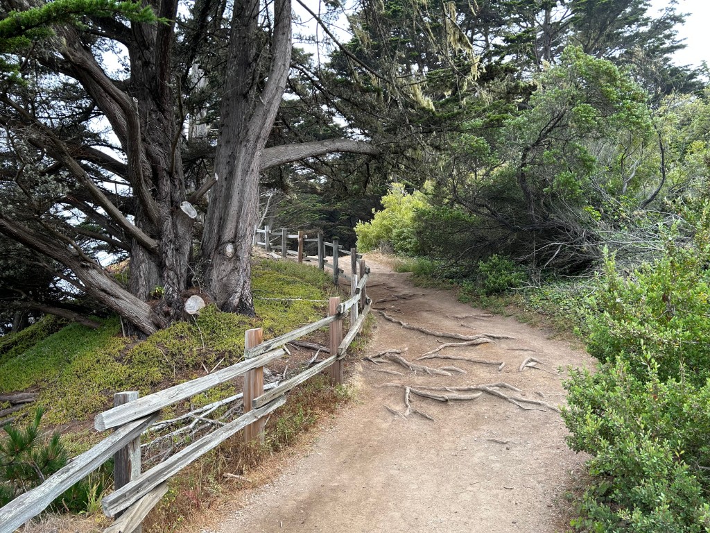 Trail in Fitzgerald Marine Reserve, near Moss Beach. John Schminky photo