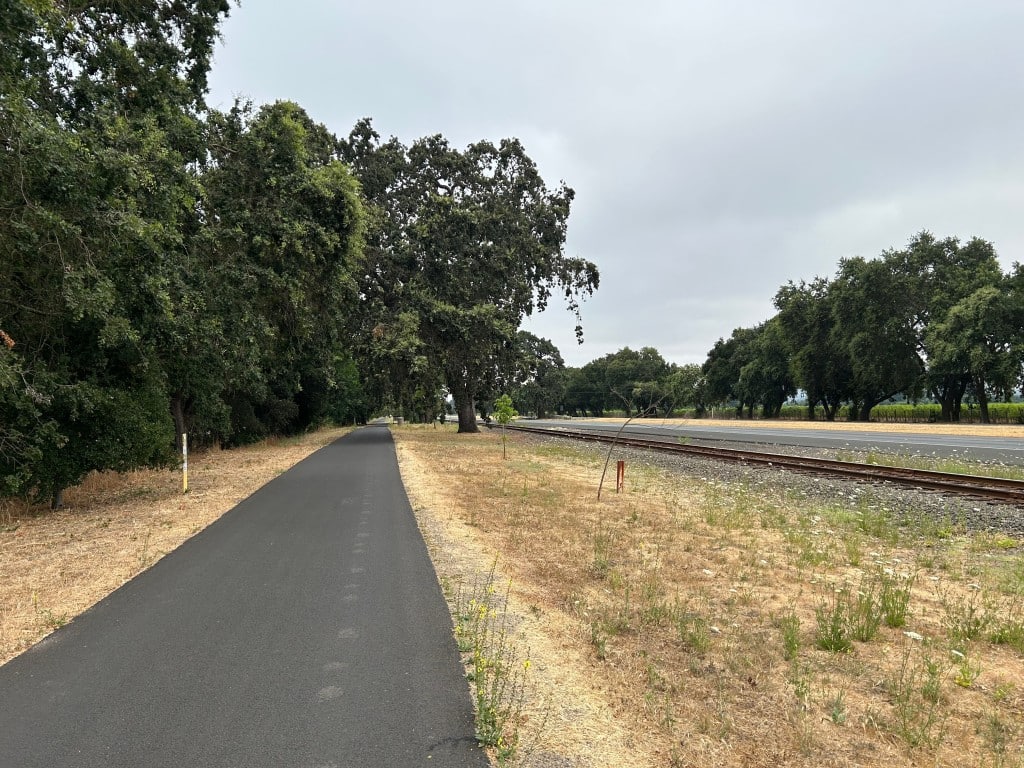 The Napa Valley Vine Trail near the Oak Knoll stop between Napa and Yountville. John Schminky photo