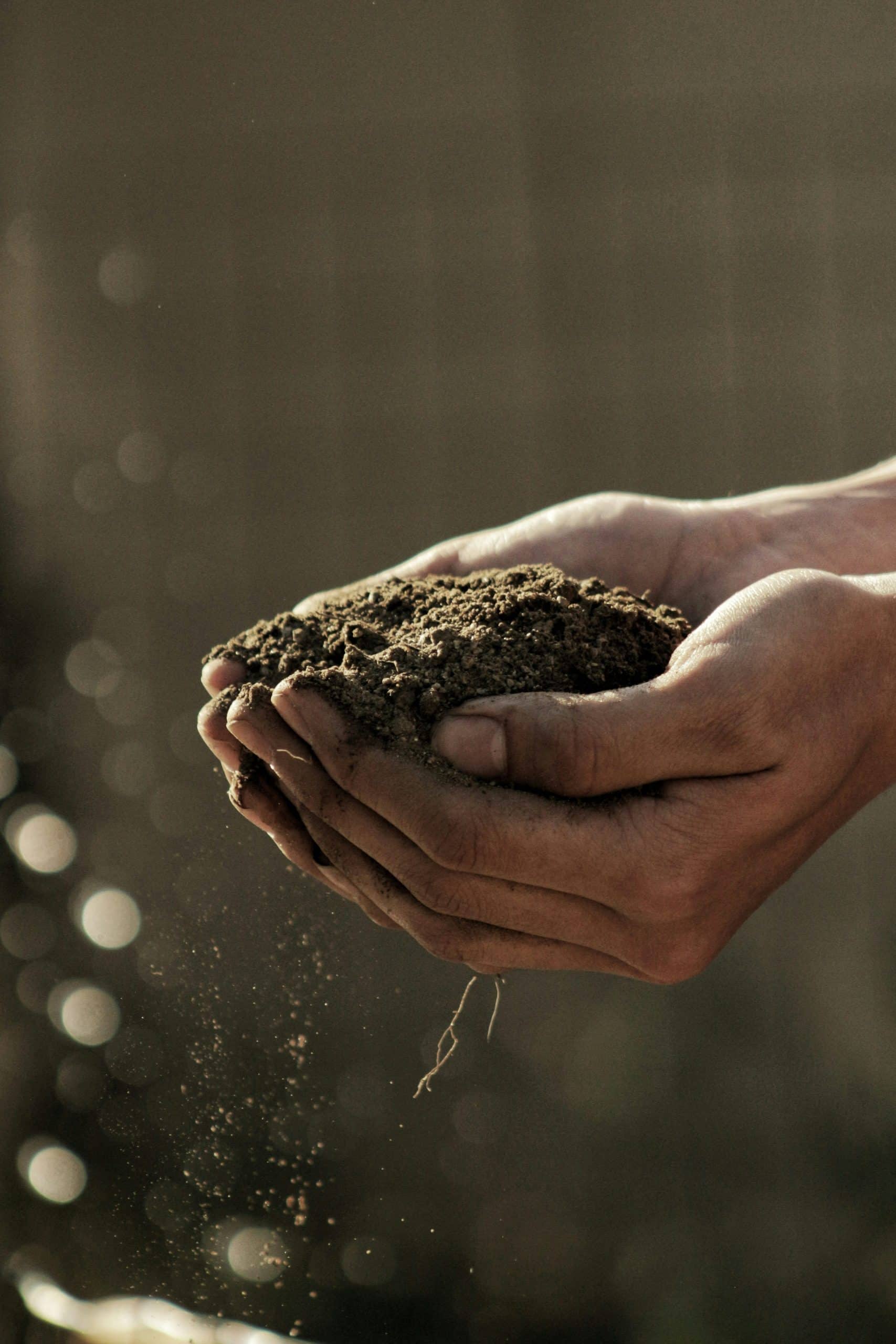 soil dirt master gardeners