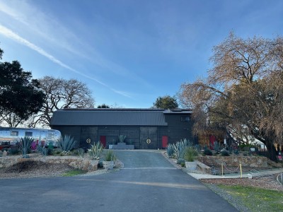 Hoopes Vineyard. Kerana Todorov photo