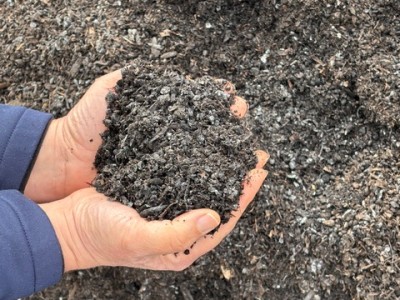 Finished municipal compost. Cindy Watter photo