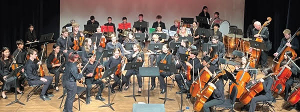 Napa Valley Youth Symphony will present its Spring Benefit Concert at Jarvis Conservatory on March 28. Submitted photo