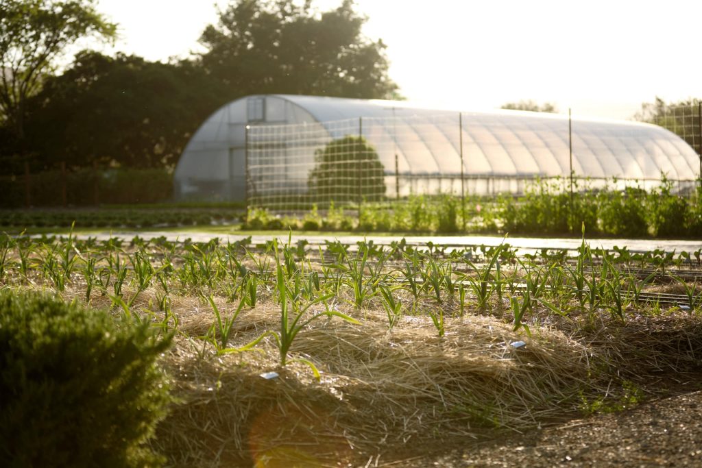 The French Laundry Garden in Yountville David Escalante photo