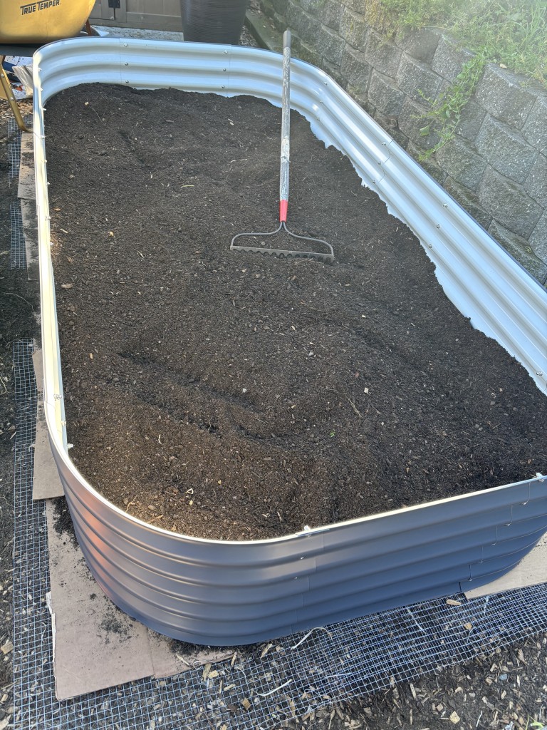 Amended soil. Melanie Marshall photo