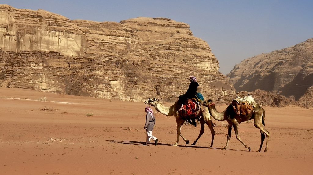 Shot in Jordan, "Dromedary Transportation" by Katherine Zimmer.